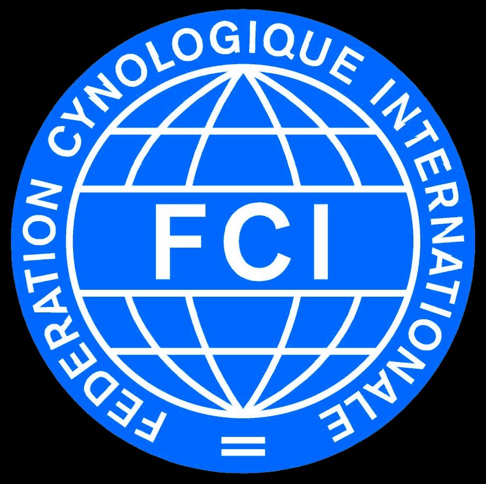 FCI Logo Blau schwarz